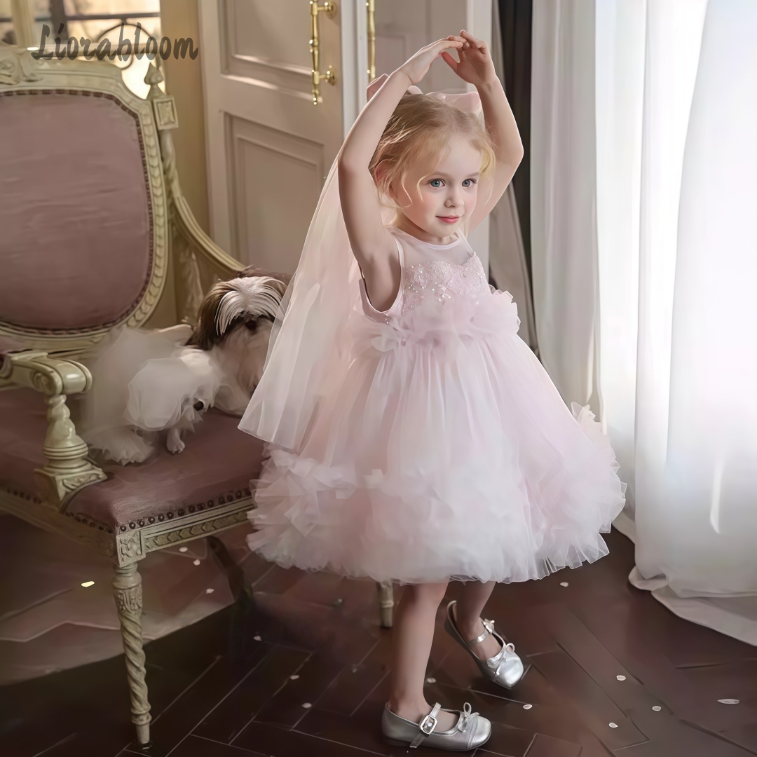 Girls' Tulle Gown Layered Skir - Women'S Formal Wear For A Wedding review and price